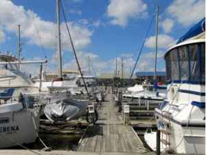 demopolis yacht basin boats sale